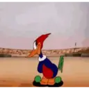 ملصق