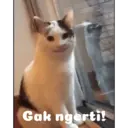 Çıkartma