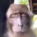 স্টিকার