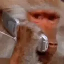 স্টিকার