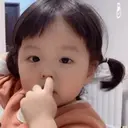 贴纸