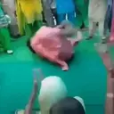 ស្ទីកเกอร์
