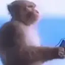 스티커
