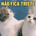 Límmiði