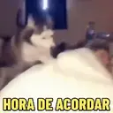 ملصق