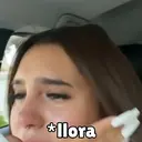 贴纸