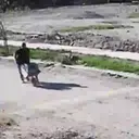 स्टिकर