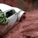 स्टिकर