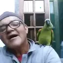 स्टिकर