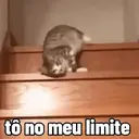 ステッカー