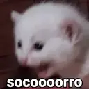ステッカー