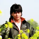 স্টিকার