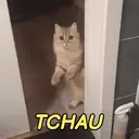 Стикер