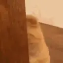 ਸਟਿਕਰ