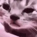 ਸਟਿਕਰ