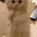 ਸਟਿਕਰ
