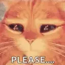 Կպչուն պիտակ