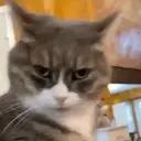 Կպչուն պիտակ