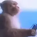 Կպչուն պիտակ