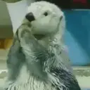 Կպչուն պիտակ