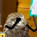 ملصق