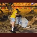 ஸ்டிக்கர்