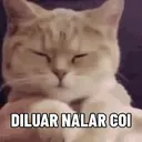 ਸਟਿਕਰ
