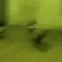 ملصق
