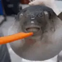 Figurinha