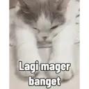 Stiker