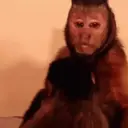 ملصق