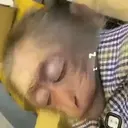 ملصق