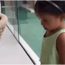 Pelekat