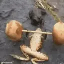 Naljepnica