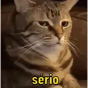 اسٹیکر