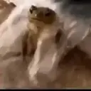 Figurinha