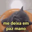Samolepka