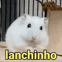 Samolepka