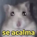Samolepka