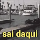 Samolepka