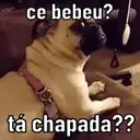 Stika