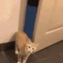 Stika