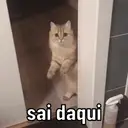 Stika