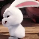 Figurinha