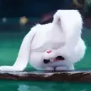 Figurinha