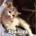 贴纸