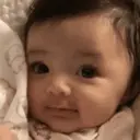 贴纸