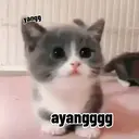 Stika