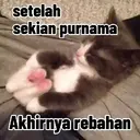 Pelekat