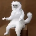 Límmiði